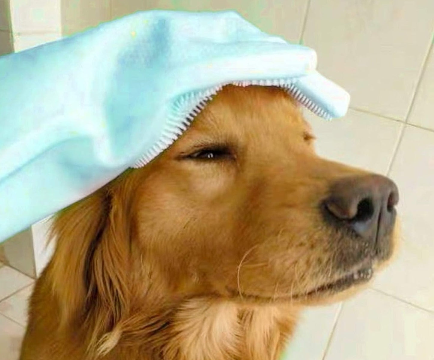 Pet Clean Multipurpose Cleaning Gloves